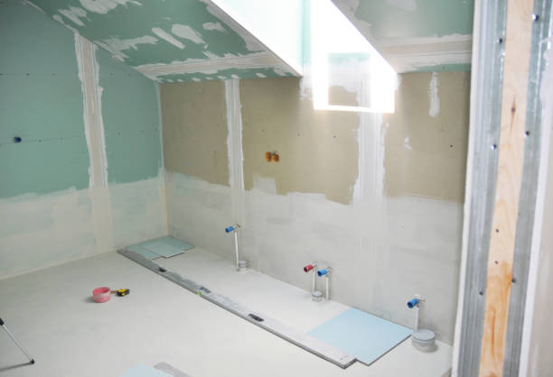 Best Basement Mold Removal  in Pioneer, OH