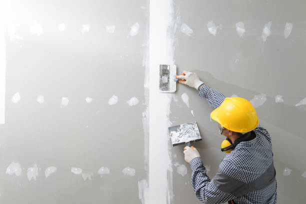 Best Mold-Related Health Consultation  in Pioneer, OH