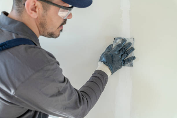 Best Biohazard Mold Removal  in Pioneer, OH