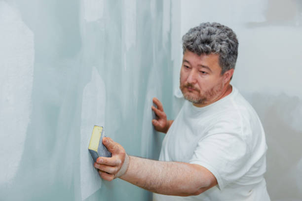 Best Mold Documentation for Insurance Claims  in Pioneer, OH