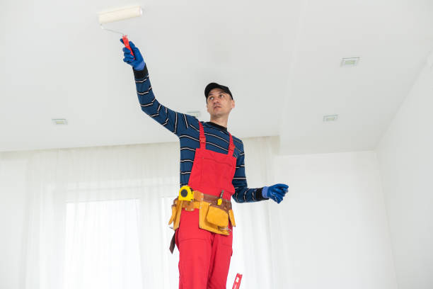 Best Dehumidification Services  in Pioneer, OH