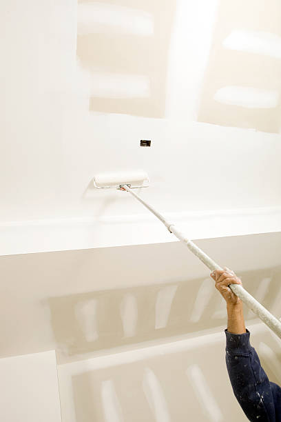 Best Attic Mold Removal  in Pioneer, OH